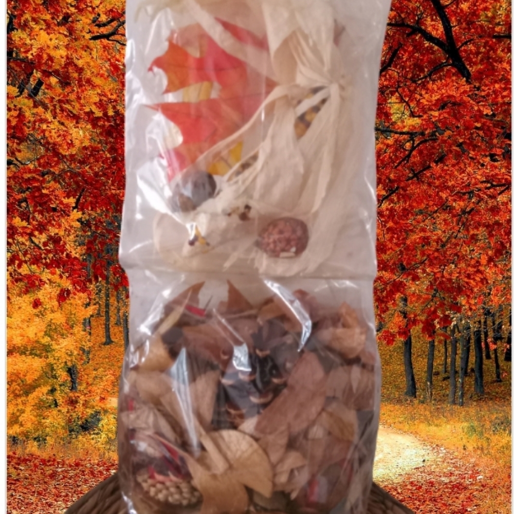 Autumn Harvest Cinnamon Pumpkin Baby Corn Potpourri